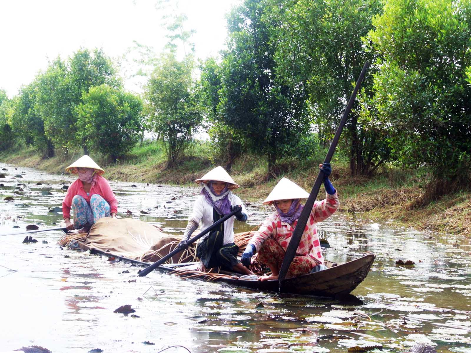 Khi hoảng trống 13 phút đến Việt Nam (4)